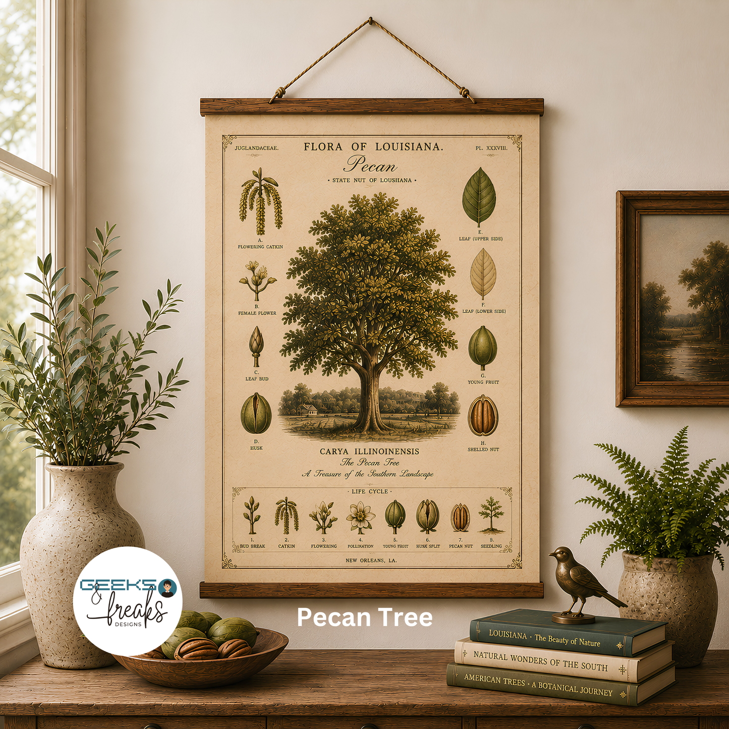 Vintage Botanical Wall hanging — 'Flora of Louisiana' Pecan Tree Hanging Wall Print CAJUN DEB